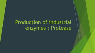 Production of industrial
enzymes : Protease
 