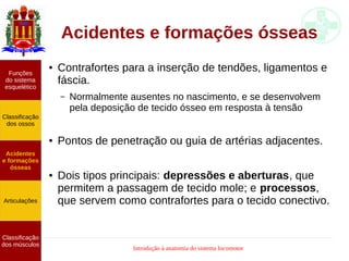 Introdução à anatomia do sistema locomotor
Acidentes e formações ósseas
● Contrafortes para a inserção de tendões, ligamentos e
fáscia.
– Normalmente ausentes no nascimento, e se desenvolvem
pela deposição de tecido ósseo em resposta à tensão
● Pontos de penetração ou guia de artérias adjacentes.
● Dois tipos principais: depressões e aberturas, que
permitem a passagem de tecido mole; e processos,
que servem como contrafortes para o tecido conectivo.
Funções
do sistema
esquelético
Classificação
dos ossos
Acidentes
e formações
ósseas
Articulações
Classificação
dos músculos
 