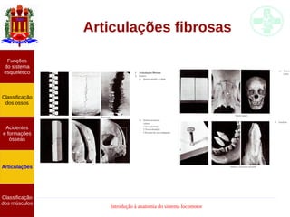 Introdução à anatomia do sistema locomotor
Articulações fibrosas
Funções
do sistema
esquelético
Classificação
dos ossos
Acidentes
e formações
ósseas
Articulações
Classificação
dos músculos
 