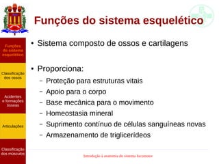 Introdução à anatomia do sistema locomotor
Funções do sistema esquelético
Funções
do sistema
esquelético
Classificação
dos ossos
Acidentes
e formações
ósseas
Articulações
Classificação
dos músculos
● Sistema composto de ossos e cartilagens
● Proporciona:
– Proteção para estruturas vitais
– Apoio para o corpo
– Base mecânica para o movimento
– Homeostasia mineral
– Suprimento contínuo de células sanguíneas novas
– Armazenamento de triglicerídeos
 