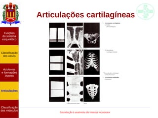 Introdução à anatomia do sistema locomotor
Articulações cartilagíneas
Funções
do sistema
esquelético
Classificação
dos ossos
Acidentes
e formações
ósseas
Articulações
Classificação
dos músculos
 
