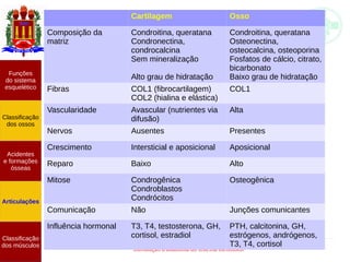 Introdução à anatomia do sistema locomotor
Funções
do sistema
esquelético
Classificação
dos ossos
Acidentes
e formações
ósseas
Articulações
Classificação
dos músculos
Cartilagem Osso
Composição da
matriz
Condroitina, queratana
Condronectina,
condrocalcina
Sem mineralização
Alto grau de hidratação
Condroitina, queratana
Osteonectina,
osteocalcina, osteoporina
Fosfatos de cálcio, citrato,
bicarbonato
Baixo grau de hidratação
Fibras COL1 (fibrocartilagem)
COL2 (hialina e elástica)
COL1
Vascularidade Avascular (nutrientes via
difusão)
Alta
Nervos Ausentes Presentes
Crescimento Intersticial e aposicional Aposicional
Reparo Baixo Alto
Mitose Condrogênica
Condroblastos
Condrócitos
Osteogênica
Comunicação Não Junções comunicantes
Influência hormonal T3, T4, testosterona, GH,
cortisol, estradiol
PTH, calcitonina, GH,
estrógenos, andrógenos,
T3, T4, cortisol
 