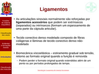 Introdução à anatomia do sistema locomotor
Ligamentos
● As articulações sinoviais normalmente são reforçadas por
ligamentos acessórios que podem ser extrínsecos
(separados) ou intrínsecos (formam um espessamento de
uma parte da cápsula articular).
● Tecido conectivo denso modelado composto de fibras
colágenas e lâminas de tecido conectivo denso não-
modelado
● Biomecânica viscoelástica – estiramento gradual sob tensão,
retorno ao formato original quando a função é removida
– Podem perder o formato original quando estendidos além de um
ponto ou por períodos prolongados de tempo.
Funções
do sistema
esquelético
Classificação
dos ossos
Acidentes
e formações
ósseas
Articulações
Classificação
dos músculos
 