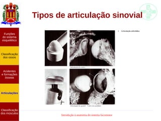 Introdução à anatomia do sistema locomotor
Tipos de articulação sinovial
Funções
do sistema
esquelético
Classificação
dos ossos
Acidentes
e formações
ósseas
Articulações
Classificação
dos músculos
 