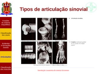 Introdução à anatomia do sistema locomotor
Tipos de articulação sinovial
Funções
do sistema
esquelético
Classificação
dos ossos
Acidentes
e formações
ósseas
Articulações
Classificação
dos músculos
 
