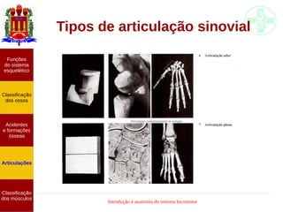 Introdução à anatomia do sistema locomotor
Tipos de articulação sinovial
Funções
do sistema
esquelético
Classificação
dos ossos
Acidentes
e formações
ósseas
Articulações
Classificação
dos músculos
 