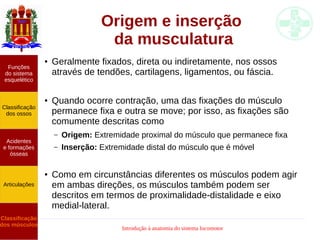 Introdução à anatomia do sistema locomotor
Origem e inserção
da musculatura
● Geralmente fixados, direta ou indiretamente, nos ossos
através de tendões, cartilagens, ligamentos, ou fáscia.
● Quando ocorre contração, uma das fixações do músculo
permanece fixa e outra se move; por isso, as fixações são
comumente descritas como
– Origem: Extremidade proximal do músculo que permanece fixa
– Inserção: Extremidade distal do músculo que é móvel
● Como em circunstâncias diferentes os músculos podem agir
em ambas direções, os músculos também podem ser
descritos em termos de proximalidade-distalidade e eixo
medial-lateral.
Funções
do sistema
esquelético
Classificação
dos ossos
Acidentes
e formações
ósseas
Articulações
Classificação
dos músculos
 