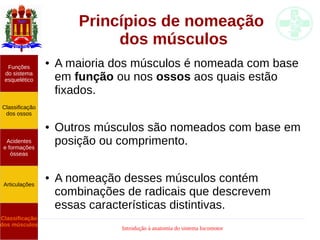 Introdução à anatomia do sistema locomotor
Princípios de nomeação
dos músculos
● A maioria dos músculos é nomeada com base
em função ou nos ossos aos quais estão
fixados.
● Outros músculos são nomeados com base em
posição ou comprimento.
● A nomeação desses músculos contém
combinações de radicais que descrevem
essas características distintivas.
Funções
do sistema
esquelético
Classificação
dos ossos
Acidentes
e formações
ósseas
Articulações
Classificação
dos músculos
 