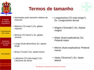 Introdução à anatomia do sistema locomotor
Termos de tamanho
● Nomeados pelo tamanho relativo do
músculo
● Máximo (“O maior”); Ex: glúteo
máximo
● Mínimo (“O menor”); Ex: glúteo
mínimo
● Longo (Auto-descritivo); Ex: adutor
longo
● Breve (“Curto”); Ex: adutor breve
● Latíssimo (“O mais largo”); Ex:
Latíssimo do dorso
Funções
do sistema
esquelético
Classificação
dos ossos
Acidentes
e formações
ósseas
Articulações
Classificação
dos músculos
● Longuíssimo (“O mais longo”);
Ex: Longuíssimo dorsal
● Magno (“Grande”); Ex: Adutor
magno
●
Maior (Auto-explicativo); Ex:
Peitoral maior
● Menor (Auto-explicativo): Peitoral
menor
● Vasto (“Enorme”); Ex: Vasto
lateral
 
