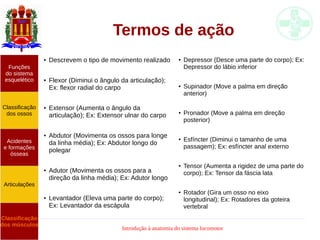 Introdução à anatomia do sistema locomotor
Termos de ação
● Descrevem o tipo de movimento realizado
● Flexor (Diminui o ângulo da articulação);
Ex: flexor radial do carpo
● Extensor (Aumenta o ângulo da
articulação); Ex: Extensor ulnar do carpo
● Abdutor (Movimenta os ossos para longe
da linha média); Ex: Abdutor longo do
polegar
● Adutor (Movimenta os ossos para a
direção da linha média); Ex: Adutor longo
● Levantador (Eleva uma parte do corpo);
Ex: Levantador da escápula
Funções
do sistema
esquelético
Classificação
dos ossos
Acidentes
e formações
ósseas
Articulações
Classificação
dos músculos
● Depressor (Desce uma parte do corpo); Ex:
Depressor do lábio inferior
● Supinador (Move a palma em direção
anterior)
● Pronador (Move a palma em direção
posterior)
● Esfíncter (Diminui o tamanho de uma
passagem); Ex: esfíncter anal externo
● Tensor (Aumenta a rigidez de uma parte do
corpo); Ex: Tensor da fáscia lata
● Rotador (Gira um osso no eixo
longitudinal); Ex: Rotadores da goteira
vertebral
 