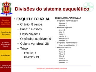 Introdução à anatomia do sistema locomotor
Divisões do sistema esquelético
● ESQUELETO AXIAL
– Crânio: 8 ossos
– Face: 14 ossos
– Osso hióide: 1
– Ossículos auditivos: 6
– Coluna vertebral: 26
– Tórax
● Esterno: 1
● Costelas: 24
● ESQUELETO APENDICULAR
– Cíngulo do membro superior
● Clavícula: 2
● Escápula: 2
– Membros superiores
● Úmero: 2
● Ulna: 2
● Rádio: 2
● Carpos: 16
● Metacarpos: 10
● Falanges: 28
– Cíngulo do membro inferior
● Ossos do quadril e pélvis: 2
– Membros inferiores
● Fêmur: 2
● Patela: 2
● Fíbula: 2
● Tíbia: 2
● Traso: 14
● Metatarso: 10
● Falanges: 28
Funções
do sistema
esquelético
Classificação
dos ossos
Acidentes
e formações
ósseas
Articulações
Classificação
dos músculos
 