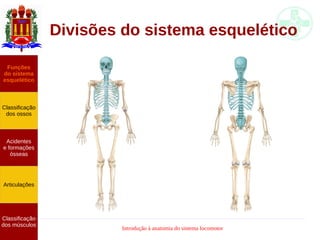 Introdução à anatomia do sistema locomotor
Divisões do sistema esquelético
Funções
do sistema
esquelético
Classificação
dos ossos
Acidentes
e formações
ósseas
Articulações
Classificação
dos músculos
 