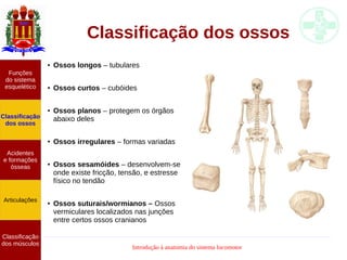 Introdução à anatomia do sistema locomotor
Classificação dos ossos
● Ossos longos – tubulares
● Ossos curtos – cubóides
● Ossos planos – protegem os órgãos
abaixo deles
● Ossos irregulares – formas variadas
● Ossos sesamóides – desenvolvem-se
onde existe fricção, tensão, e estresse
físico no tendão
● Ossos suturais/wormianos – Ossos
vermiculares localizados nas junções
entre certos ossos cranianos
Funções
do sistema
esquelético
Classificação
dos ossos
Acidentes
e formações
ósseas
Articulações
Classificação
dos músculos
 