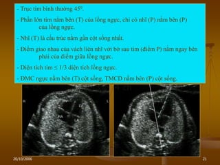 20/10/2006 21
- Trục tim bình thƣờng 450.
- Phần lớn tim nằm bên (T) của lồng ngực, chỉ có nhĩ (P) nằm bên (P)
của lồng ngực.
- Nhĩ (T) là cấu trúc nằm gần cột sống nhất.
- Điểm giao nhau của vách liên nhĩ với bờ sau tim (điểm P) nằm ngay bên
phải của điểm giữa lồng ngực.
- Diện tích tim ≤ 1/3 diện tích lồng ngực.
- ĐMC ngực nằm bên (T) cột sống, TMCD nằm bên (P) cột sống.
 