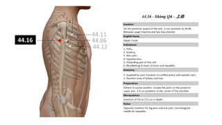 Tung_Acupuncture_Classes_Master_Tung_44_Series.pptx