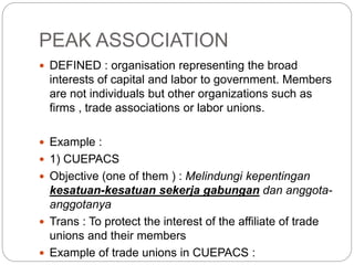 C6 - Interest Group | PPTX