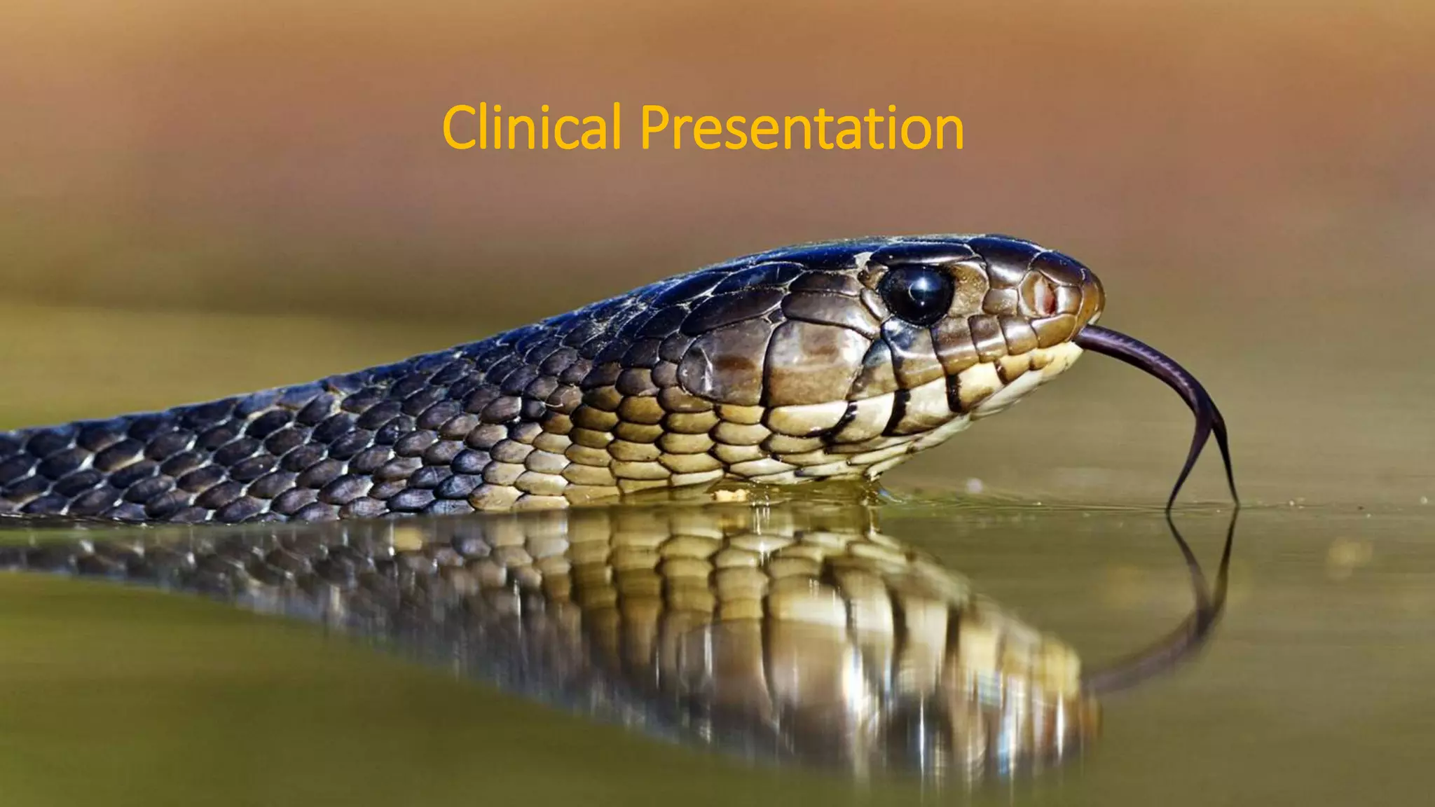 Clinical Presentation
 