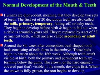 Normal Development of the Mouth & TeethNormal Development of the Mouth & Teeth
Humans are diphyodont, meaning that they develop two setsHumans are diphyodont, meaning that they develop two sets
of teeth. The first set of 20 deciduous teeth are also calledof teeth. The first set of 20 deciduous teeth are also called
thethe milk, primary, temporarymilk, primary, temporary, falling-off, or baby teeth., falling-off, or baby teeth.
They begin to develop before birth & begin to fall out whenThey begin to develop before birth & begin to fall out when
a child is around 6 years old. They're replaced by a set of 32a child is around 6 years old. They're replaced by a set of 32
permanent teeth, which are also calledpermanent teeth, which are also called secondary or adultsecondary or adult
teeth.teeth.
Around the 8th week after conception, oval-shaped toothAround the 8th week after conception, oval-shaped tooth
buds consisting of cells form in the embryo. These budsbuds consisting of cells form in the embryo. These buds
begin to harden about the 16th week. Although teeth aren'tbegin to harden about the 16th week. Although teeth aren't
visible at birth, both the primary and permanent teeth arevisible at birth, both the primary and permanent teeth are
forming below the gums. The crown, or the hard enamel-forming below the gums. The crown, or the hard enamel-
covered part that's visible in the mouth, develops first. Whencovered part that's visible in the mouth, develops first. When
the crown is fully grown, the root begins to develop.the crown is fully grown, the root begins to develop.
 