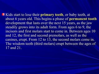 Kids start to lose theirKids start to lose their primary teethprimary teeth, or baby teeth, at, or baby teeth, at
about 6 years old. This begins a phase ofabout 6 years old. This begins a phase of permanent toothpermanent tooth
development that lasts over the next 15 years, as the jawdevelopment that lasts over the next 15 years, as the jaw
steadily grows into its adult form. From ages 6 to 9, thesteadily grows into its adult form. From ages 6 to 9, the
incisors and first molars start to come in. Between ages 10incisors and first molars start to come in. Between ages 10
and 12, the first and second premolars, as well as theand 12, the first and second premolars, as well as the
canines, erupt. From 12 to 13, the second molars come in.canines, erupt. From 12 to 13, the second molars come in.
The wisdom teeth (third molars) erupt between the ages ofThe wisdom teeth (third molars) erupt between the ages of
17 and 21.17 and 21.
 
