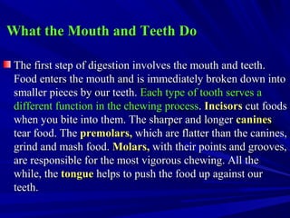 What the Mouth and Teeth DoWhat the Mouth and Teeth Do
The first step of digestion involves the mouth and teeth.The first step of digestion involves the mouth and teeth.
Food enters the mouth and is immediately broken down intoFood enters the mouth and is immediately broken down into
smaller pieces by our teeth.smaller pieces by our teeth. Each type of tooth serves aEach type of tooth serves a
different function in the chewing processdifferent function in the chewing process.. IncisorsIncisors cut foodscut foods
when you bite into them. The sharper and longerwhen you bite into them. The sharper and longer caninescanines
tear food. Thetear food. The premolars,premolars, which are flatter than the canines,which are flatter than the canines,
grind and mash food.grind and mash food. Molars,Molars, with their points and grooves,with their points and grooves,
are responsible for the most vigorous chewing. All theare responsible for the most vigorous chewing. All the
while, thewhile, the tonguetongue helps to push the food up against ourhelps to push the food up against our
teeth.teeth.
 