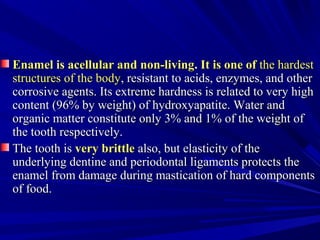 Enamel is acellular and non-livingEnamel is acellular and non-living.. It is one ofIt is one of the hardestthe hardest
structures of the bodystructures of the body, resistant to acids, enzymes, and other, resistant to acids, enzymes, and other
corrosive agents. Its extreme hardness is related to very highcorrosive agents. Its extreme hardness is related to very high
content (96% by weight) of hydroxyapatite. Water andcontent (96% by weight) of hydroxyapatite. Water and
organic matter constitute only 3% and 1% of the weight oforganic matter constitute only 3% and 1% of the weight of
the tooth respectively.the tooth respectively.
The tooth isThe tooth is very brittlevery brittle also, but elasticity of thealso, but elasticity of the
underlying dentine and periodontal ligaments protects theunderlying dentine and periodontal ligaments protects the
enamel from damage during mastication of hard componentsenamel from damage during mastication of hard components
of food.of food.
 