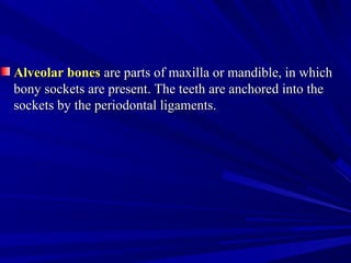 Alveolar bonesAlveolar bones are parts of maxilla or mandible, in whichare parts of maxilla or mandible, in which
bony sockets are present. The teeth are anchored into thebony sockets are present. The teeth are anchored into the
sockets by the periodontal ligaments.sockets by the periodontal ligaments.
 
