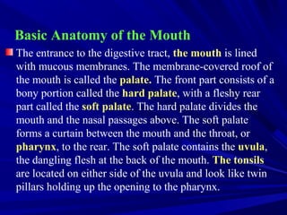 Basic Anatomy of the Mouth
The entrance to the digestive tract, the mouth is lined
with mucous membranes. The membrane-covered roof of
the mouth is called the palate. The front part consists of a
bony portion called the hard palate, with a fleshy rear
part called the soft palate. The hard palate divides the
mouth and the nasal passages above. The soft palate
forms a curtain between the mouth and the throat, or
pharynx, to the rear. The soft palate contains the uvula,
the dangling flesh at the back of the mouth. The tonsils
are located on either side of the uvula and look like twin
pillars holding up the opening to the pharynx.
 