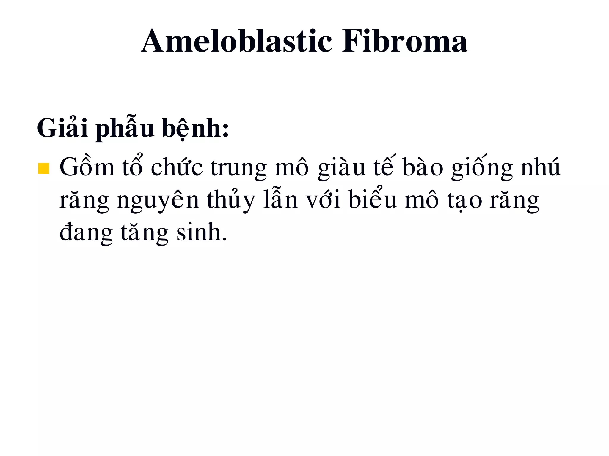 Giaûi phaãu beänh:
 Goàm toå chöùc trung moâ giaøu teá baøo gioáng nhuù
raêng nguyeân thuûy laãn vôùi bieåu moâ taïo raêng
ñang taêng sinh.
Ameloblastic Fibroma
 