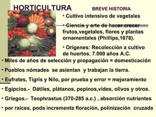 HORTICULTURA   BREVE HISTORIA ,[object Object],[object Object],[object Object],[object Object],[object Object],[object Object],[object Object],[object Object],[object Object]