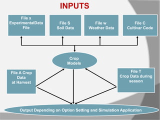 File x
ExperimentalData
File
File C
Cultivar Code
File A Crop
Data
at Harvest
File T
Crop Data during
season
Output Depending on Option Setting and Simulation Application
File w
Weather Data
File S
Soil Data
Crop
Models
INPUTS
 