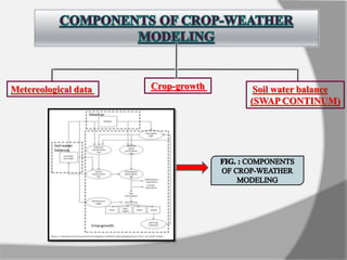Metereological data Crop-growth Soil water balance
(SWAP CONTINUM)
 