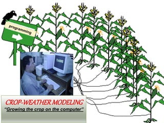 CROP-WEATHERMODELING
“Growing the crop on the computer”
 