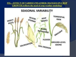 FIG. : EFFECT OF VARIOUS WEATHER CHANGES ON CROP
GROWTH (reflects the need of crop weather modeling)
 