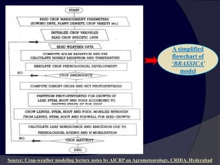 A simplified
flowchart of
‘BRASSICA’
model
Source: Crop-weather modeling lecture notes by AICRP on Agrometeorology, CRIDA, Hyderabad
 