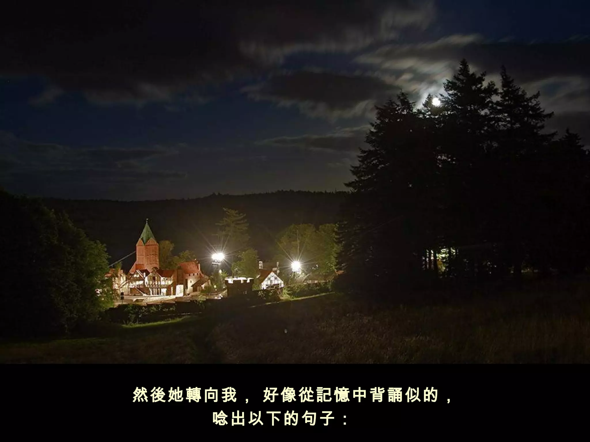 然後她轉向我， 好像從記憶中背誦似的，
     唸出以下的句子：   
 