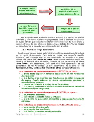 Ing. Agr. Miguel A. Scalone Echave – Instituto de Agrimensura 11
O sea el óptimo será el coloide mineral arcilloso y la textura de menor
actividad y con menor número de propiedades sería la arenosa. En general
se puede admitir que un suelo debe tener un mínimo de un 12 % de arcilla y
cuando el tenor de este elemento desciende por debajo de 6 %, los riesgos
de estabilidad de la estructura de dicho suelo, son grandes.
2.1.4. Análisis de campo de la textura
En el propio campo, puede determinarse en forma aproximada la textura
de un perfil determinado. Para esto se extrae una pequeña porción
(muestra) del horizonte que se está analizando, se humedece un poco,
amasa y se forma una “bolita de tierra”. Esta se coloca entre el pulgar y el
índice y se presiona entre los dedos, tratando de que se deslice y se forme
“una cinta”. Su observación, nos dará una idea aproximada de los
porcentajes de las fracciones. Lo que observamos de la cinta es: su
formación, brillo, continuidad y también otras características etc.
o Si la textura es predominantemente ARENOSA, la cinta …
… tiene tacto áspero y abrasivo sobre todo en las fracciones
más gruesas.
… o la bolita, si se muerden con los dientes, se notan los granos
de arena. Puede saberse en forma aproximada, cantidad y
tamaño de los mismos.
… carece de cohesión y brillo y no se forma bien.
… o la bolita, hacen ruido al amasarse entre los dedos debido al
rozamiento entre los granos.
o Si la textura es predominantemente LIMOSA, la cinta …
… se presenta escamosa.
… tiene tacto y aspecto suave y untuoso.
… o la bolita, no presentan plasticidad y pegajosidad en estado
húmedo.
o Si la textura es predominantemente ARCILLOSA la cinta …
… se presenta bien formada.
… se presenta lisa y brillante.
… o la bolita, presentan mucha cohesión.
A mayor finura
de las partículas
de un suelo …
… mayor es la
superficie eficaz de
ataque presentada …
… y por lo tanto,
también mayor es
su plasticidad
y cohesión.
… mayor es el poder
absorbente …
 