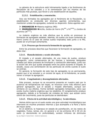 Ing. Agr. Miguel A. Scalone Echave – Instituto de Agrimensura 17
La génesis de la estructura está íntimamente ligada a los fenómenos de
floculación de los coloides y a la cementación por los mismos de las
partículas más gruesas, que llevan a una estabilización de aquellos.
2.2.3.2. Estabilización y cementación.
Una vez formados los agregados por el fenómeno de la floculación, su
estabilización es producida por diversos agentes cementantes, que
mantienen unidos los agregados, evitando su dispersión. Estos agentes son:
ORGANICOS Materia orgánica (MO)
INORGÁNICOS Arcilla, óxidos de hierro (Fe
++
y Fe
+++
) y óxidos de
aluminio (Al
+++
)
La materia orgánica es más efectiva que la arcilla en promover la
formación de agregados estables. Además, los suelos con buen contenido de
hierro (como es el caso de ciertos suelos tropicales) éste junto a la MO,
puede ser el principal cementante.
2.2.4. Procesos que favorecen la formación de agregados.
Entre los procesos descritos que favorecen la formación de agregados, se
debe citar:
2.2.4.1. Humedecimiento y secado alternados.
El mojado y el secado alternados, de una masa de suelos, produce
agregación, como consecuencia de las fuerzas y tensiones desiguales
creados por éstos procesos de hinchazón y contracción alternados, junto con
la acción del aire que queda atrapado entre los poros durante el mojado. El
secado, causa una cementación de las partículas de arcilla cuando el suelo
se contrae.
En general, la formación de este tipo de agregados no es permanente,
puesto que si se someten a un exceso de agua, al re-hidratarse, se puede
volver a romper la agregación.
2.2.4.2. Congelamiento y descongelamiento alternados.
Este proceso, aunque no se encuentra presente en nuestro país por la
ausencia de temperaturas tan bajas, se reconoce como más efectivo para
generar agregación, que el secado y mojado alternados, aunque son
similares en sus efectos. Forma también agregados temporales, salvo que
exista mucha materia orgánica que los estabilice. El congelamiento produce
agregación, debido a la formación de cristales de hielo, que actúan como
centro de crecimiento, pues las partículas se deshidratan.
2.2.4.3. Efectos de la actividad microbiológica y la microfauna.
Hemos dicho que en el suelo existe una gran actividad microbiológica que
interviene en muchos procesos internos y que acompaña a la flora y fauna
de mayor porte.
En el estiércol, la hojarasca en estado de putrefacción, en los restos de
vegetales, frutos, ramas, etc. en general y en los primeros 20 ó 30 cm de
suelo (y decreciendo en profundidad), existen millones de diminutos
 