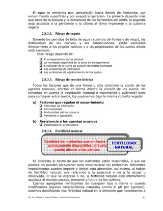 Ing. Agr. Miguel A. Scalone Echave – Instituto de Agrimensura 42
El agua es removida por: percolación hacia dentro del horizonte, por
escurrimiento superficial y por evapotranspiración. La primera depende más
que nada de la textura y la estructura de los horizontes del perfil, la segunda
está asociada a la pendiente y la última al clima imperante y la cubierta
vegetal.
2.8.3.2. Riesgo de sequía
Durante los períodos de falta de agua (ausencia de lluvias o de riego), las
deficiencias de los cultivos y las consecuencias, están asociados
directamente a los propios cultivos y a las propiedades de los suelos dónde
está asentado.
Este riesgo depende de:
El arraigamiento de las plantas
La humedad disponible en la zona de arraigamiento
El carácter de la curva de succión de matriz-humedad
Los problemas de infiltración
Los problemas de agrietamiento de los suelos
2.8.3.3. Riesgo de erosión hídrica
Todos los factores que de una forma u otra controlen la acción de los
agentes erosivos, afectan en forma directa la erosión de los suelos. No
tomamos en cuenta la vegetación (natural o espontánea o cultivada) pues
para comparar entre suelos, los suponemos bajo la misma cubierta vegetal.
a) Factores que regulan el escurrimiento
Velocidad de infiltración
Permeabilidad
Profundidad del horizonte A
Pendiente y topografía
b) Resistencia a los agentes erosivos
Estabilidad de la estructura
2.8.3.4. Fertilidad natural
Es diferente el hecho de que los nutrientes estén disponibles, a que las
plantas los puedan aprovechar para desarrollarse sin problemas. Diferentes
impedimentos pueden impedir o limitar esta absorción. Así mismo, al hablar
de fertilidad natural, nos referimos a la potencial y no a la actual u
observada. El que se exprese o no, la fertilidad natural está íntimamente
asociada al manejo pasado, presente y futuro de los cultivos.
Cuando agregamos fertilizantes de cualquier tipo o forma o cuando
modificamos algunas características naturales (como el pH por ejemplo),
estamos modificando esa fertilidad natural en la dirección que necesitamos a
Cantidad de nutrientes que en forma
químicamente disponibles, el suelo
puede ofrecer a las plantas
FERTILIDAD
NATURAL
 