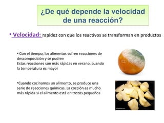 ¿De qué depende la velocidad
de una reacción?
¿De qué depende la velocidad
de una reacción?
• Velocidad: rapidez con que los reactivos se transforman en productos
• Con el tiempo, los alimentos sufren reacciones de
descomposición y se pudren
Estas reacciones son más rápidas en verano, cuando
la temperatura es mayor
•Cuando cocinamos un alimento, se produce una
serie de reacciones químicas. La cocción es mucho
más rápida si el alimento está en trozos pequeños
 