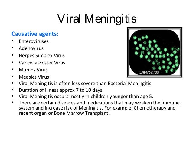 Meningitis (According to Modern & Unani Medicine)