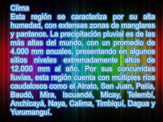 Clima
Esta región se caracteriza por su alta
humedad, con extensas zonas de manglares
y pantanos. La precipitación pluvial es de las
más altas del mundo, con un promedio de
4.000 mm anuales, presentando en algunos
sitios niveles extremadamente altos de
12.000 mm al año. Por sus concurridas
lluvias, esta región cuenta con múltiples ríos
caudalosos como el Atrato, San Juan, Patía,
Baudó, Mira, Iscuandé, Micay, Telembí,
Anchicayá, Naya, Calima, Timbiquí, Dagua y
Yurumanguí.
 