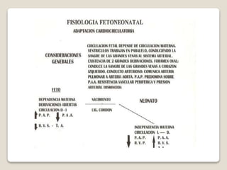 R.n.pretermino final