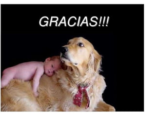 R.n.pretermino final