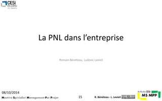 La PNL dans l’entreprise 
Romain Bénéteau, Ludovic Levieil 
08/10/2014 
Mastère Spécialisé Management Par Projet 15 
R. Bénéteau - L. Levieil 
 