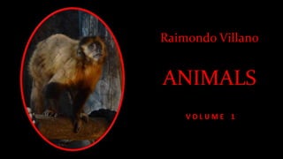 Raimondo Villano
ANIMALS
V O L U M E 1
 
