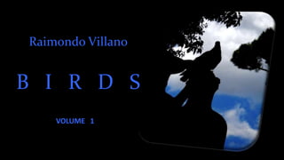 Raimondo Villano
B I R D S
VOLUME 1
 