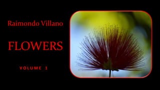 Raimondo Villano
FLOWERS
V O L U M E 1
 