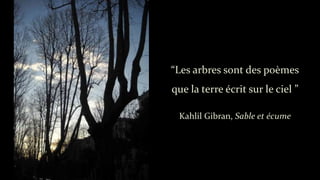 “Les arbres sont des poèmes
que la terre écrit sur le ciel ”
Kahlil Gibran, Sable et écume
 