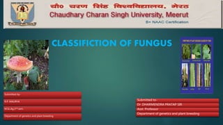CLASSIFICTION OF FUNGUS
Submitted by-
R.P. MAURYA
M.Sc.Ag.2nd sem.
Department of genetics and plant breeding
Submitted to-
Dr .DHARMENDRA PRATAP SIR
Asst. Professor
Department of genetics and plant breeding
 