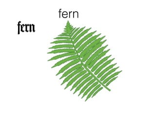 Fern Lettering R Phonics R | PPT